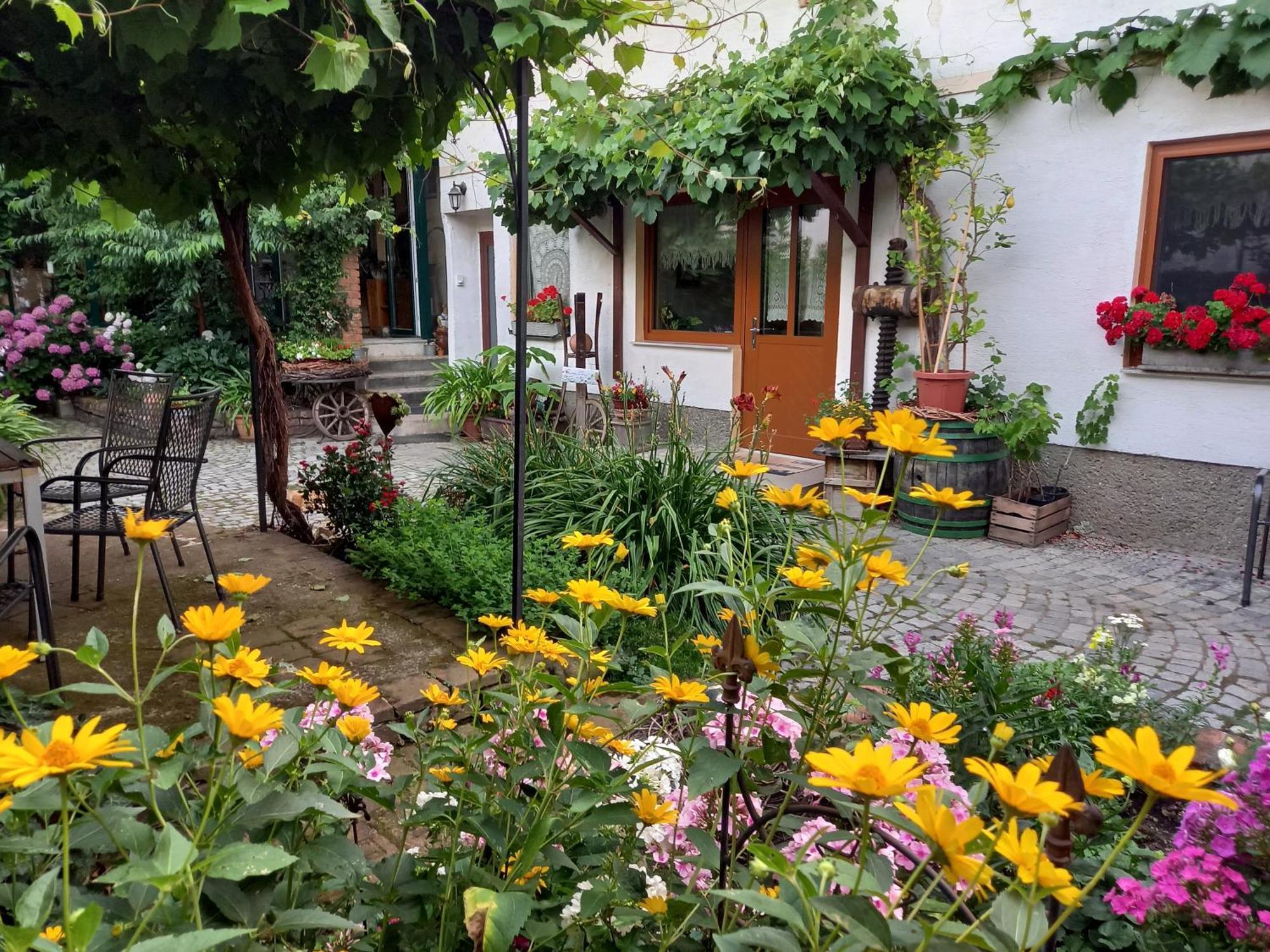 Winzerhof Fleischmann Hotel Kleinhoflein Exterior photo